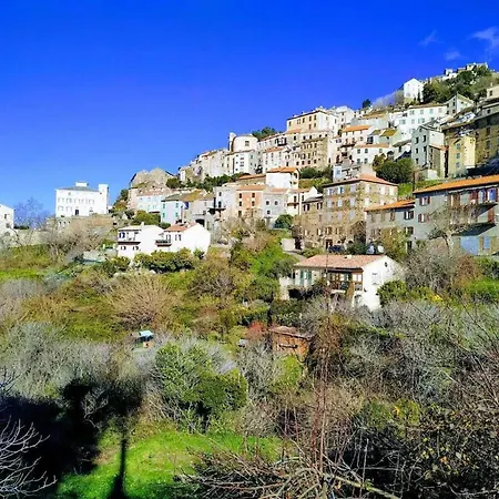 Spacieuse A Saint-florent Avec Piscine סן פלורן