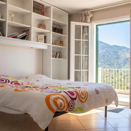 Spacieuse A Saint-florent Avec Piscine Villa *