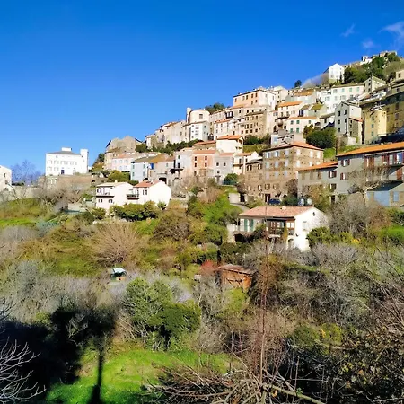 Spacieuse A Saint-florent Avec Piscine Villa *